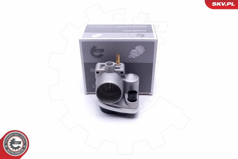 Throttle Body